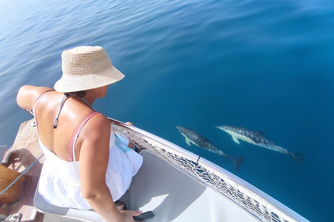 2 h Estepona Bay Tour - Key points before you go
