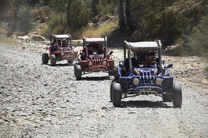 2 Hours Buggy Safari Experience in the Mountains of Mijas with Guide - Guides, small-group attention, and the photo/video add-on
