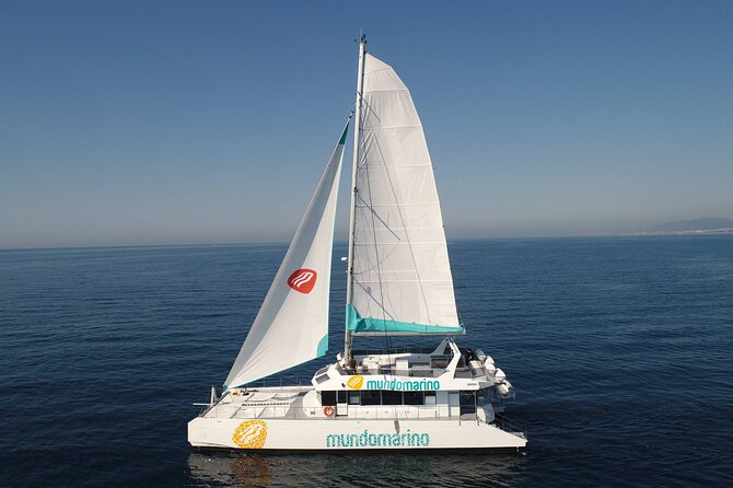 3-Hours Catamaran Tour in Malaga with Paella - Coastal Views by Malagueta Beach (and Why That Matters)