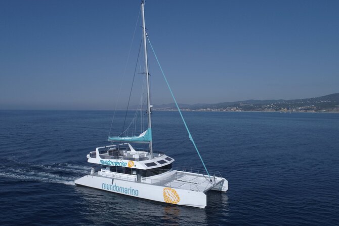 3-Hours Catamaran Tour in Malaga with Paella - Practical Tips That Make a Difference