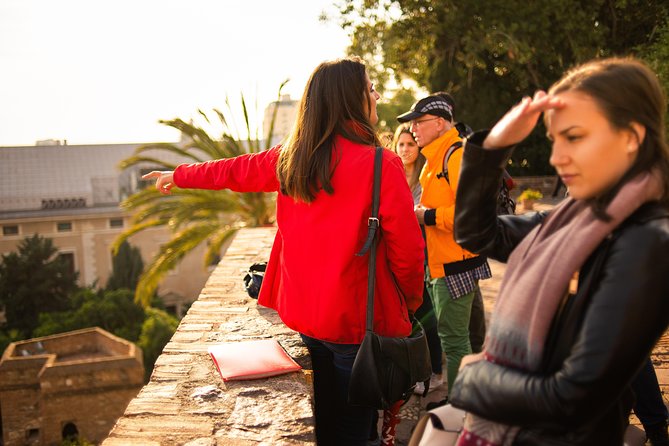 Alcazaba Malaga Guided Tour - Should you book the Alcazaba Malaga Guided Tour?