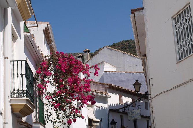 Authentic Andalusia - Jeep Eco Tour (pick up from Marbella - Estepona) - Monda and lunch on the main square: good time, plan your meal