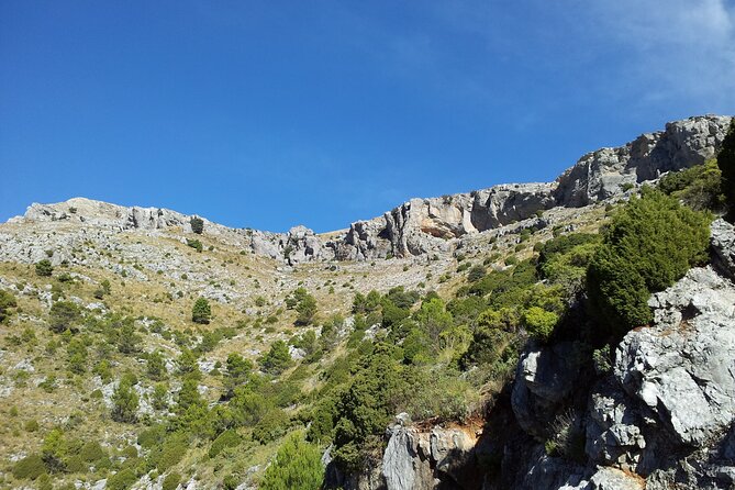 Authentic Andalusia - Jeep Eco Tour (pick up from Marbella - Estepona) - Who should book this Eco Tour (and who might be disappointed)