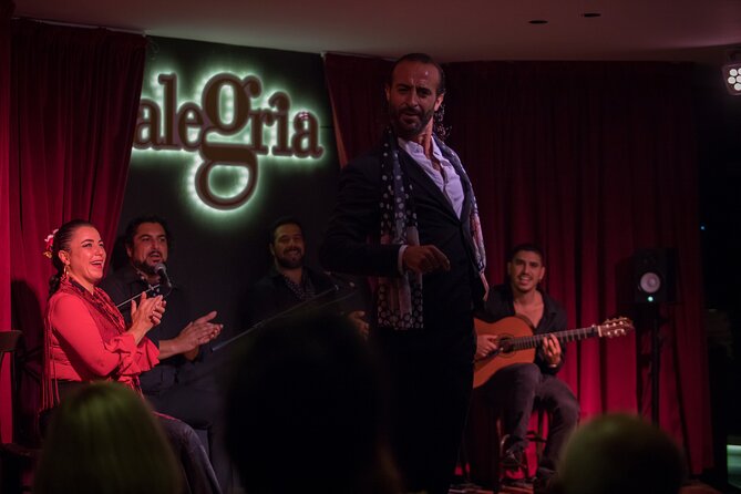 Authentic flamenco show. Alegria and gastronomy Malaga - The cast: singers, guitar, and two dancers driving the emotion