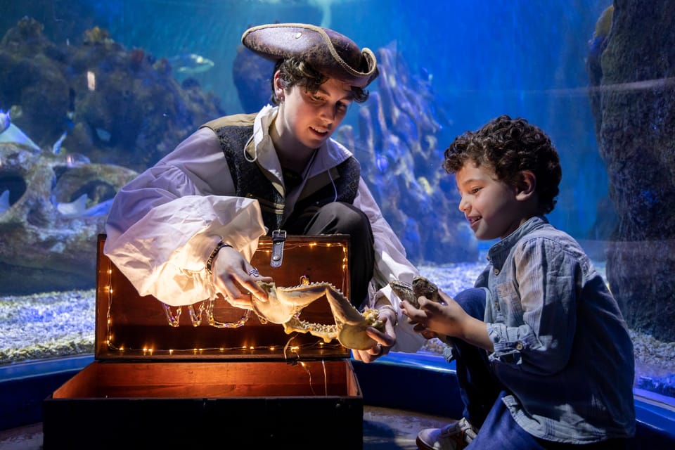 Benalmadena Aquarium Visit - First steps at Sea Life Benalmádena (and why the location matters)