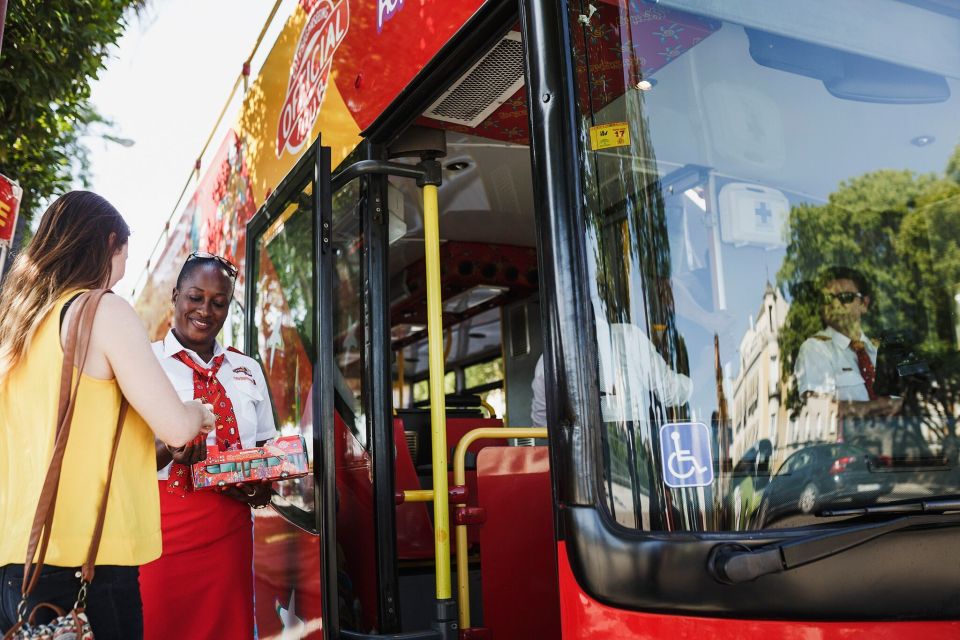 Benalmadena: City Sightseeing Hop-On Hop-Off Bus Tour - Puerto Marina to Malapesquera: start with the coast, then choose your altitude