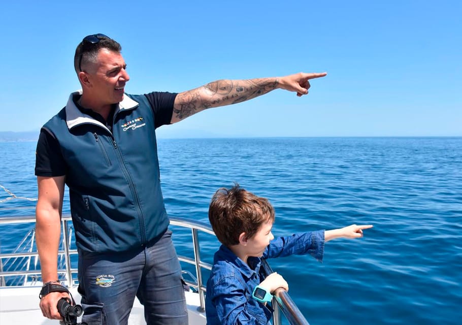 Benalmadena: Dolphin Watching Boat Tour - Where the Tour’s Dolphin Success Comes From (and Why It’s Still Luck)