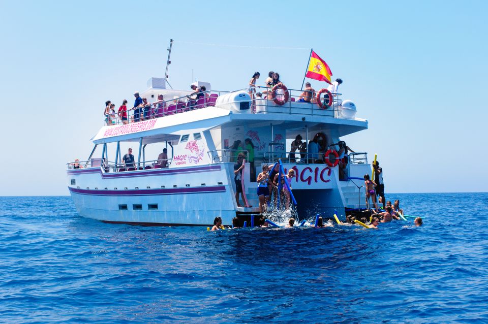 Benalmadena: Dolphin Watching Boat Tour - The Coast Highlights You’ll See From the Water