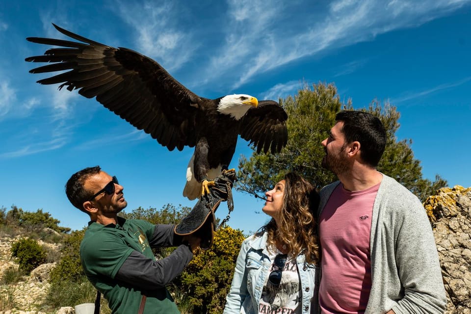 Benalmádena: Mount Calamorro Cable Car Ticket - Optional Bird of Prey Show: A Nice Extra if It’s Running