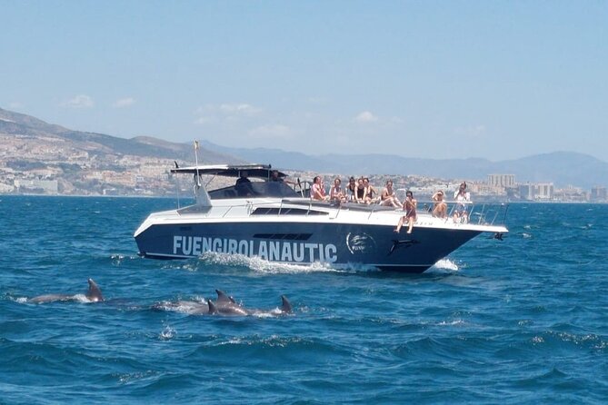Boat Trip in Fuengirola, Dolphin Watching and Drinks - A 2-Hour Dolphin Cruise That Fits Real Travel Schedules