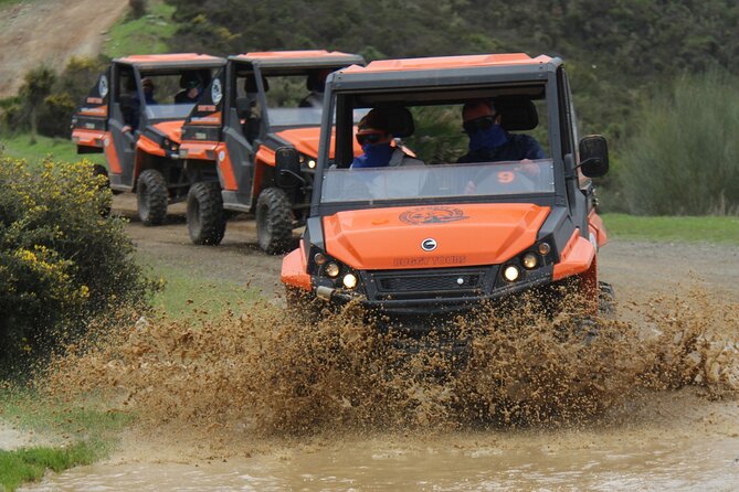 Buggy Adventure with Incredible Views of the Sea and the Reservoir - Key highlights to know before you book