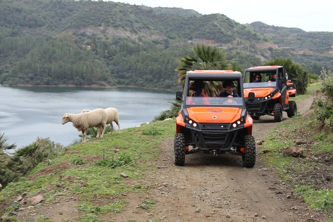 Buggy Adventure with Incredible Views of the Sea and the Reservoir - Marbella to Istán by buggy: what the 2 hours feel like