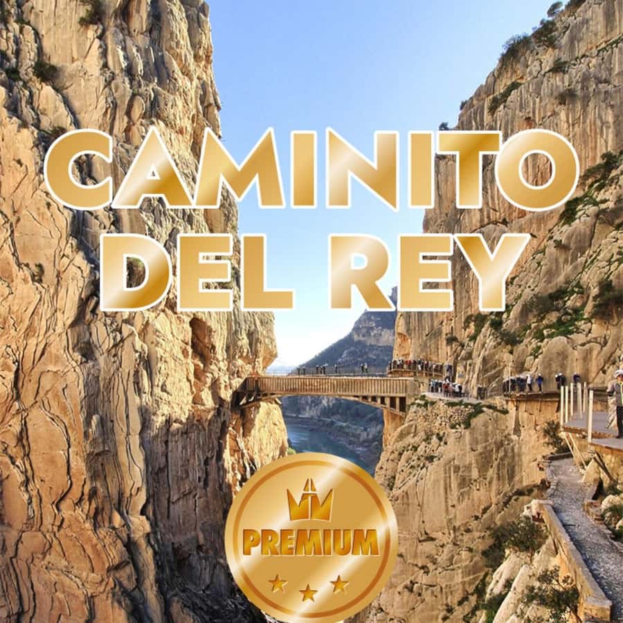 Caminito del Rey from Malaga all included - Key takeaways before you go