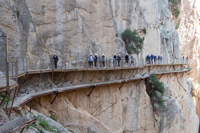 Caminito del Rey Tour from Malaga - Who this tour is best for (and who should choose another plan)