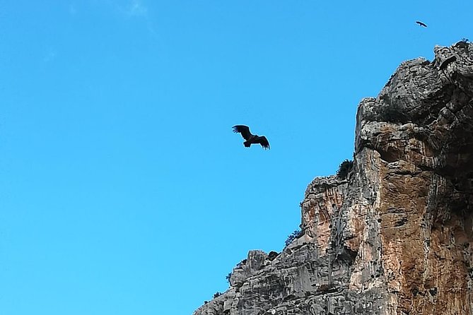 Caminito del Rey Trekking Walkway - How to handle the end of the hike: North Access and your return plan