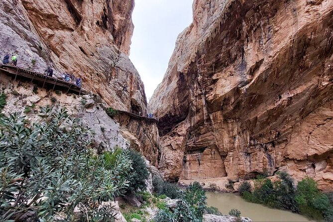 Caminito del Rey with Pickup from Malaga City - Who this trip suits (and who should think twice)