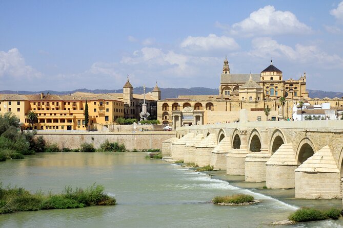 Cordoba Tour with Mosque, Synagogue and Patios from Malaga - La Mezquita (Mosque-Cathedral): the big-ticket moment