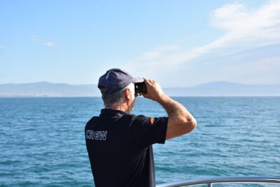 Dolphin Sightseeing Boat Tour from Benalmadena - Price and What You Actually Get for $22.93