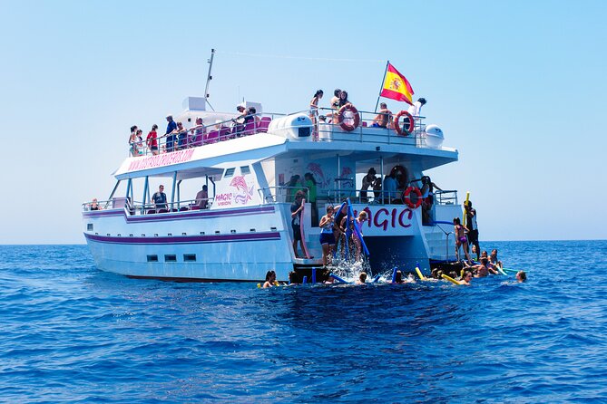 Dolphin Sightseeing Boat Tour from Benalmadena - Swim Stop: A Nice Bonus If Time Allows