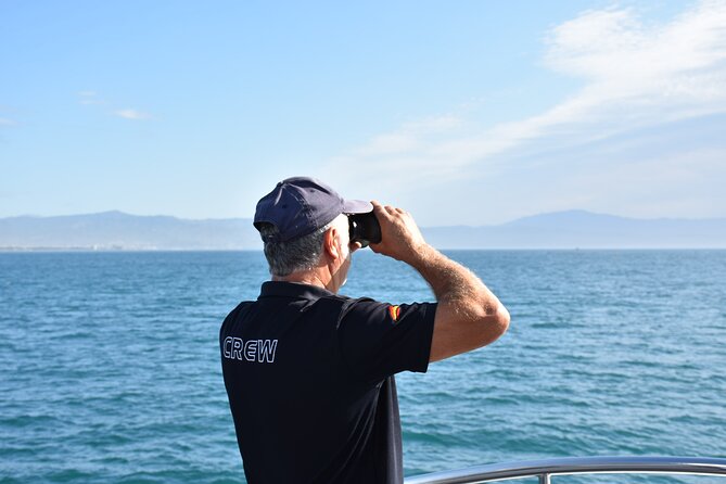 Dolphin Sightseeing Boat Tour from Benalmadena - Price and What You Actually Get for $22.93