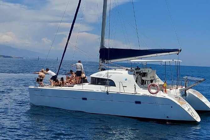 Dolphin trips on a catamaran - Key things I’d watch for before you book