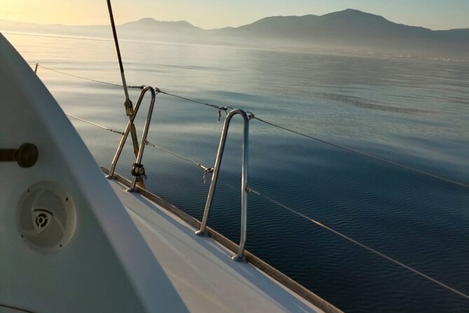 Dolphin trips on a catamaran - Price that makes sense for a 2-hour catamaran ride