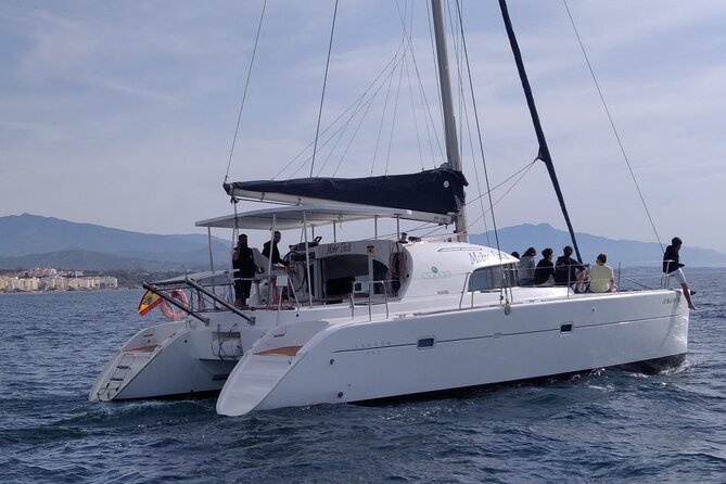 Dolphin trips on a catamaran - On board for 2 hours: what the ride feels like in real life