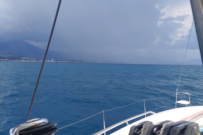 Dolphin trips on a catamaran - Catamaran comfort, and the wind question (sailing vs engine)