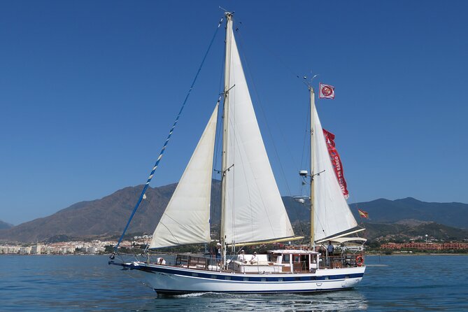 Dolphin Watching Adventure in Estepona Bay - Velero Intrepido and Estepona Bay: why this sail feels different