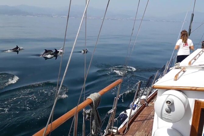 Dolphin Watching Adventure in Estepona Bay - Who this is best for (and who might want a different option)