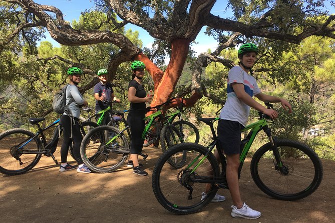 E-Mountain Bike Explorer Tour departing from Marbella - Small groups and safety style: how the guide keeps you confident