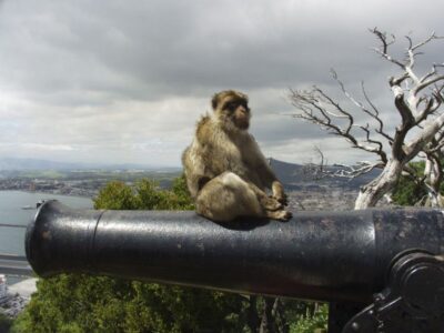 From Costa del Sol: Day Trip to Gibraltar with Guided Tour - Meeting the guide, cruising past Marbella, and hearing the Greek-myth connection