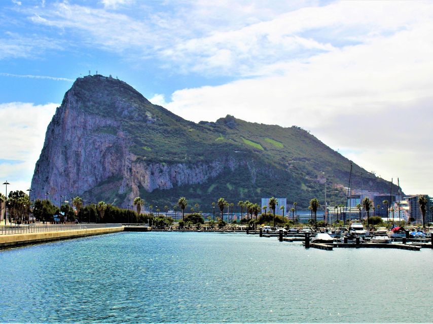 From Costa del Sol: Day Trip to Gibraltar with Guided Tour - Gibraltar Nature Reserve and the Rock tour pace: sights plus real constraints