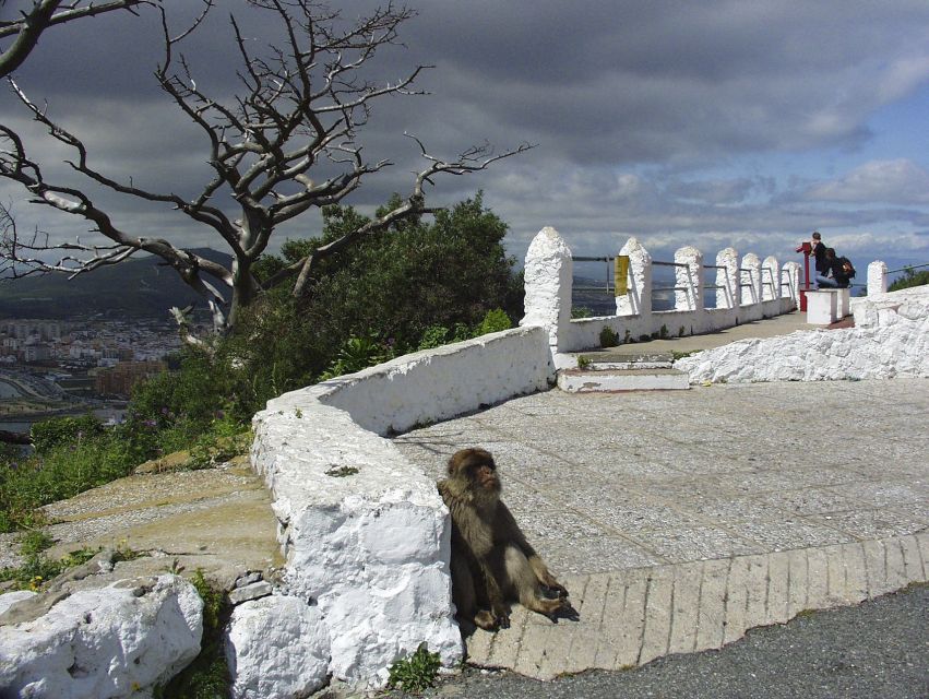 From Costa del Sol: Day Trip to Gibraltar with Guided Tour - Europa Point views toward Africa: when weather gives you the extra show