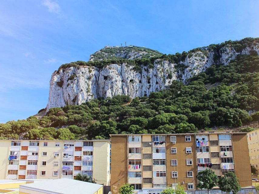 From Costa del Sol: Day Trip to Gibraltar with Guided Tour - Barbary apes at close range: fun, rules, and photo tips