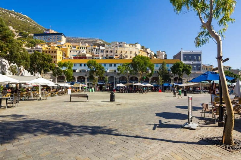 From Costa del Sol: Gibraltar Day Trip with Free Time - Timing reality check: 5 hours in Gibraltar goes fast