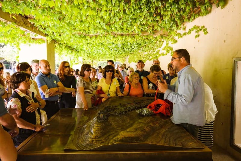 From Costa del Sol: Granada Full-Day Tour - From Costa del Sol to Granada: a long day that’s mostly about timing