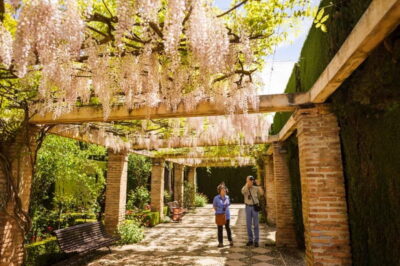 From Costa del Sol: Granada Full-Day Tour - Three ways to experience the Alhambra: guided, audio, or on your own