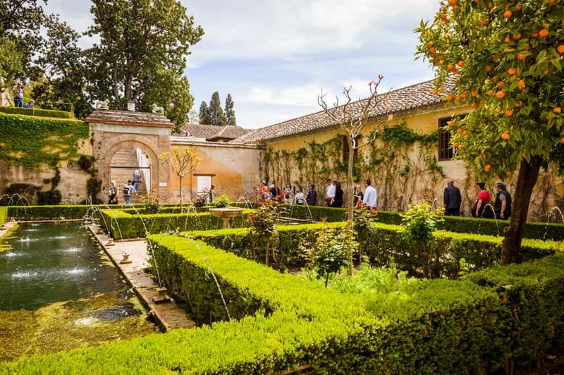 From Costa del Sol: Granada Full-Day Tour - Free time in Granada: how to use it without wasting it