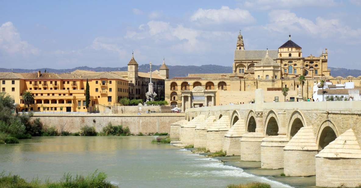 From Costa del Sol & Malaga: Cordoba Guided Day Tour - Free time in Cordoba: how to use it without regretting it