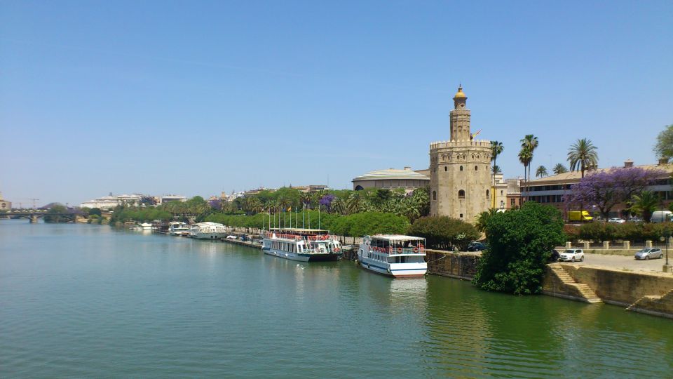 From Costa del Sol & Malaga: Seville Day Trip - Seville Cathedral and the Giralda: The Optional Upgrade That Changes the Day