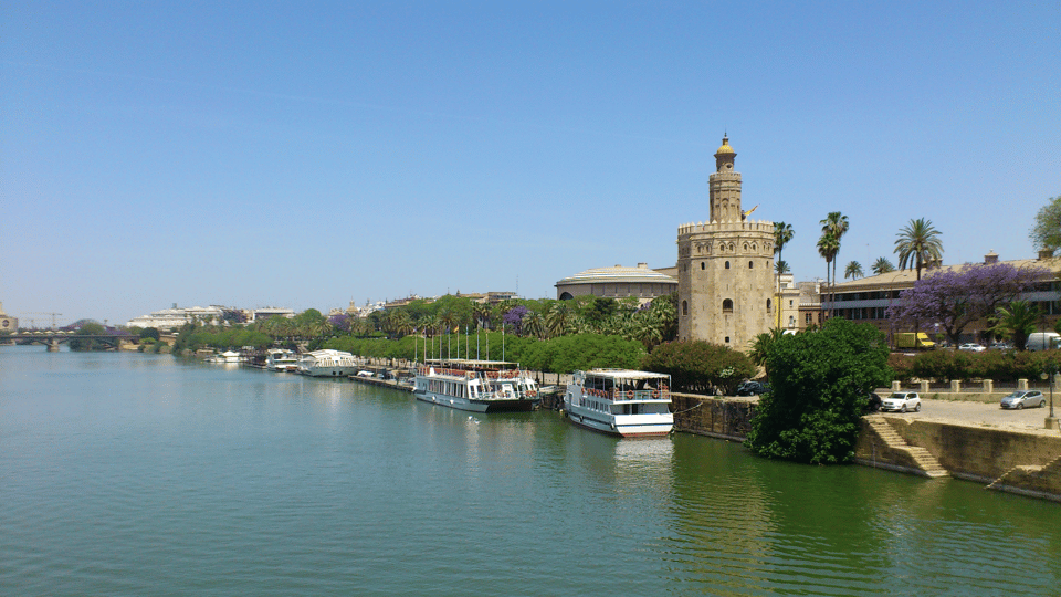 From Costa del Sol & Malaga: Seville Day Trip - Lunch on Your Own: How to Use Your Free Time Without Stress