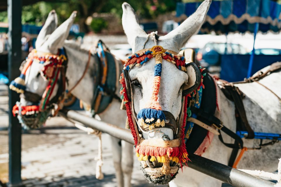 From Costa del Sol: Mijas, Marbella and Puerto Banús Tour - What to know before you go: walking comfort and who it isn’t for