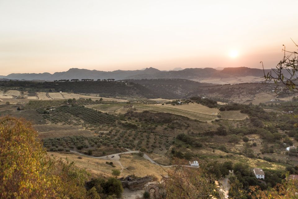 From Costa del Sol: Ronda Village Tour w/ Maestranza Ticket - Getting oriented in Ronda: gate, churches, and old-town flow
