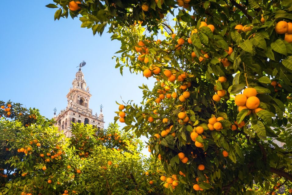From Costa del Sol: Seville Day Trip - Getting There: Pickup Options, Coach Ride, and the Breakfast Pause