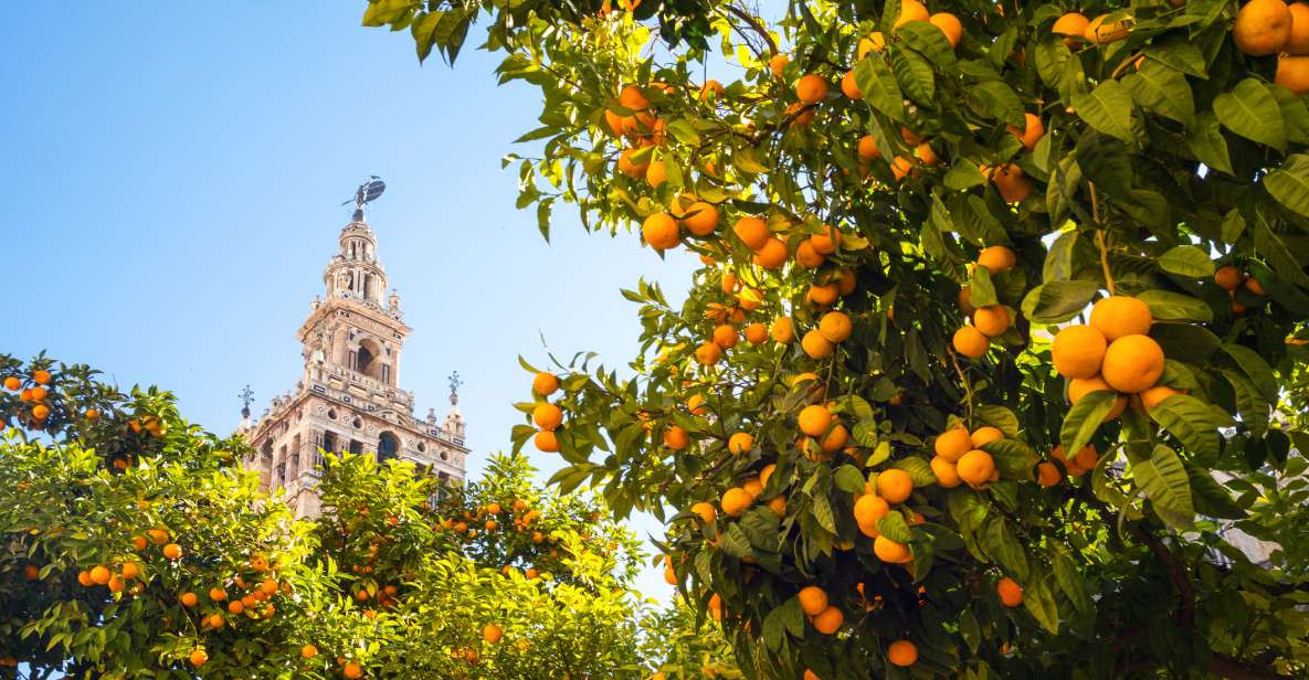 From Costa del Sol: Seville Day Trip - Your Big Block of Free Time: Cathedral Area, Lunch, and Giralda Views