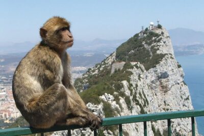 From Costa del Sol: The Gibraltar classic Rock tour - Price and value: what $107.41 gets you