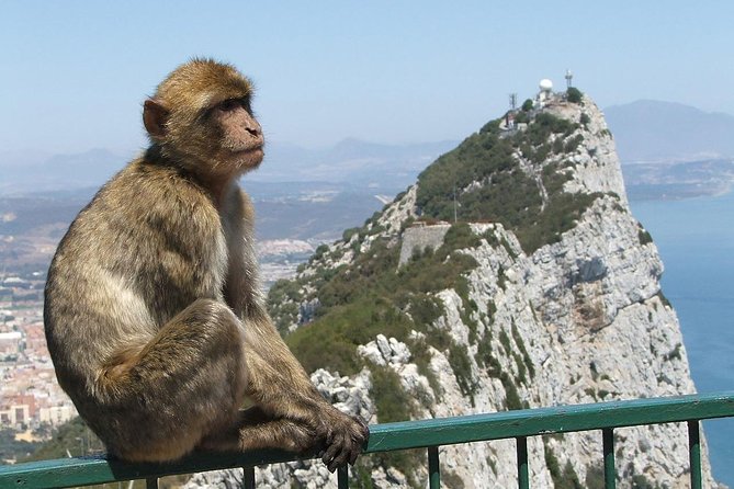 From Costa del Sol: The Gibraltar classic Rock tour - Price and value: what $107.41 gets you