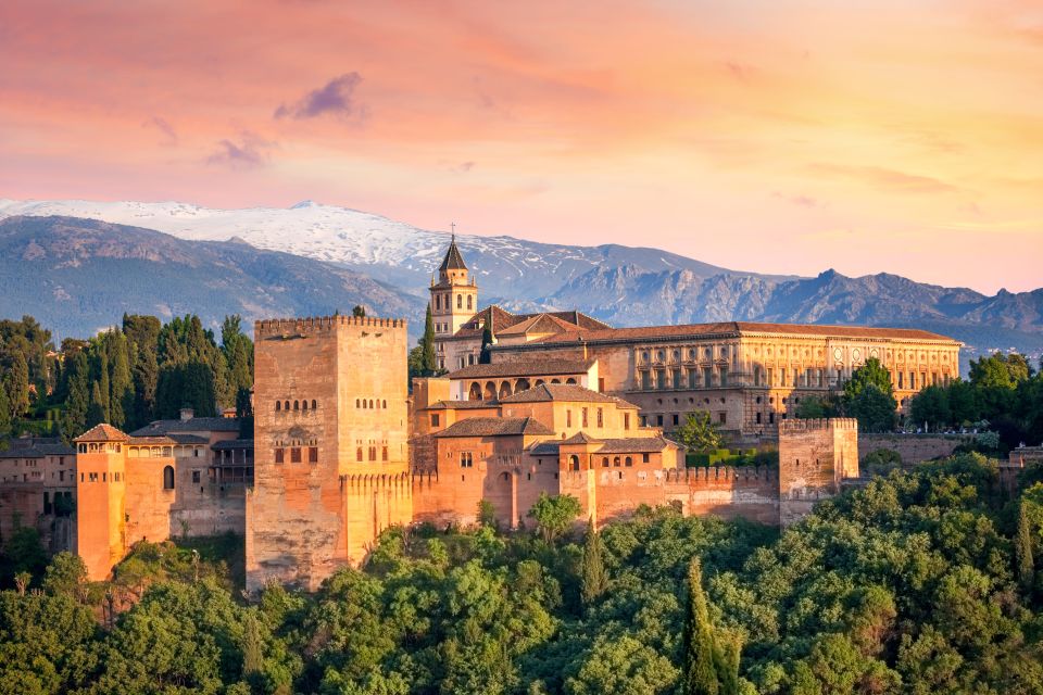 From Malaga: Alhambra Guided Tour with Entry Tickets - Entering the Alhambra: how the skip-the-line access plays out