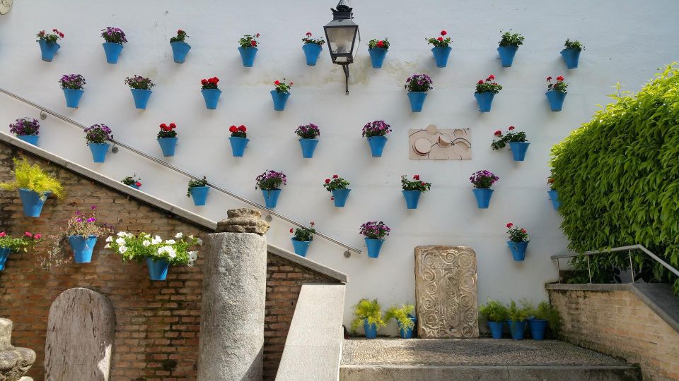 From Malaga and Costa Del Sol: Cordoba Day Trip - Patios in San Basilio: why courtyards matter in Córdoba